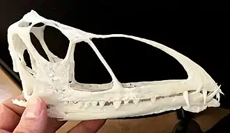 popis obrázku chybí