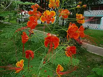 alternativní popis obrázku chybí