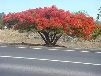 alternativní popis obrázku chybí