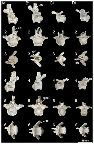 alternativní popis obrázku chybí