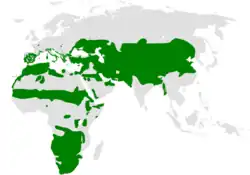 Areál rozšíření