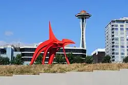 Orel s věží Space Needle v pozadí