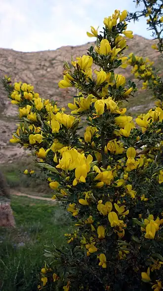 alternativní popis obrázku chybí