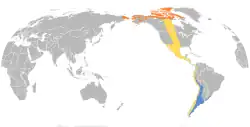 Areál rozšíření