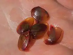 alternativní popis obrázku chybí