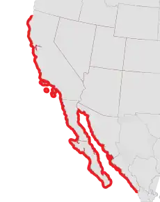 Areál rozšíření