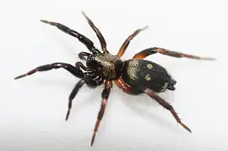 alternativní popis obrázku chybí