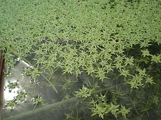 alternativní popis obrázku chybí