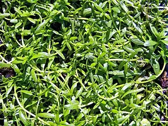 alternativní popis obrázku chybí