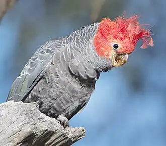 alternativní popis obrázku chybí