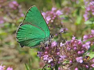 alternativní popis obrázku chybí