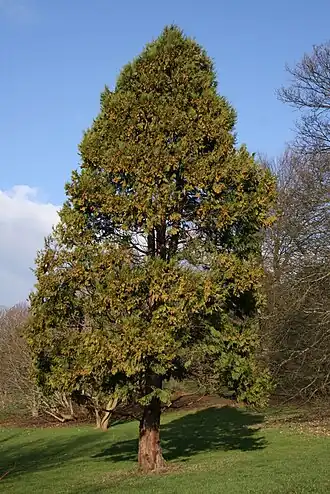 alternativní popis obrázku chybí