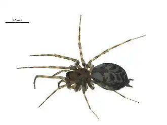 alternativní popis obrázku chybí