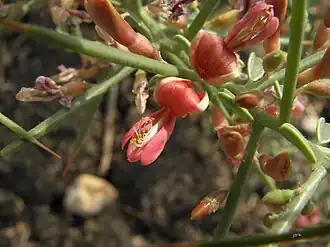 alternativní popis obrázku chybí