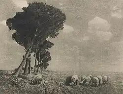 Campagna Romana, 1906