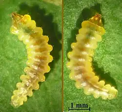 alternativní popis obrázku chybí