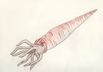 alternativní popis obrázku chybí