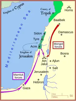 Postup mamlúckých a mongolských vojsk