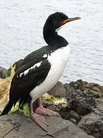 alternativní popis obrázku chybí