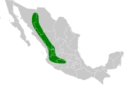 Areál rozšíření