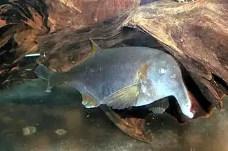 alternativní popis obrázku chybí