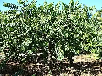 alternativní popis obrázku chybí