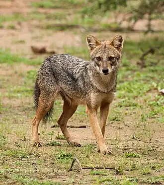 alternativní popis obrázku chybí