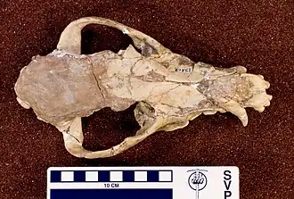 popis obrázku chybí