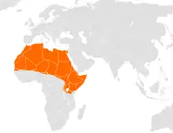 Přibližné rozšíření vlka afrického