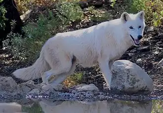 alternativní popis obrázku chybí