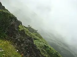 skupinka zvířat na prudkém svahu