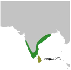 Areál rozšíření