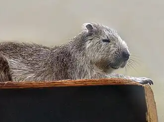 alternativní popis obrázku chybí