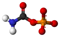 Model molekuly deprotonizovaného karbamoylfosfátu
