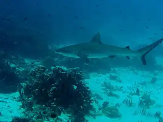 alternativní popis obrázku chybí