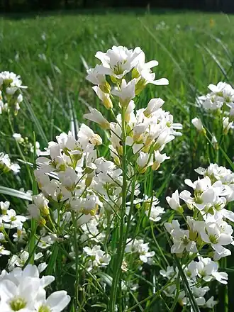 alternativní popis obrázku chybí