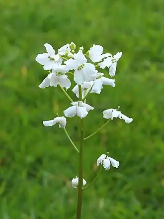 alternativní popis obrázku chybí