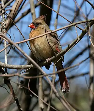 alternativní popis obrázku chybí