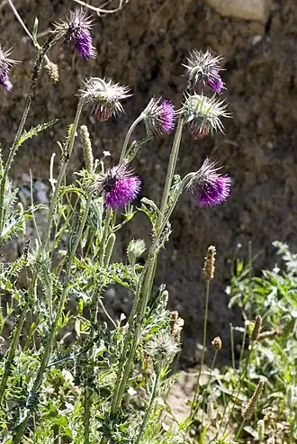 alternativní popis obrázku chybí