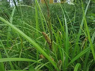 alternativní popis obrázku chybí