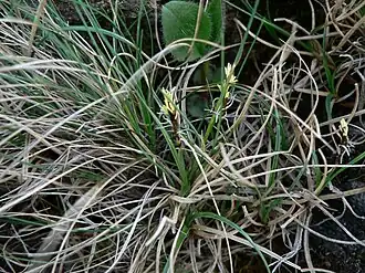 alternativní popis obrázku chybí