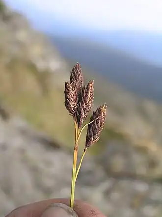 alternativní popis obrázku chybí