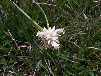 alternativní popis obrázku chybí