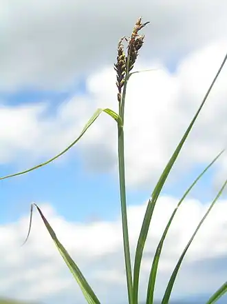 alternativní popis obrázku chybí