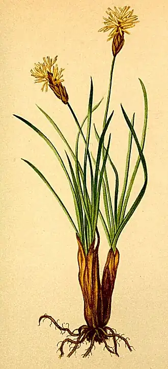 alternativní popis obrázku chybí