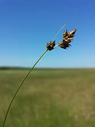alternativní popis obrázku chybí