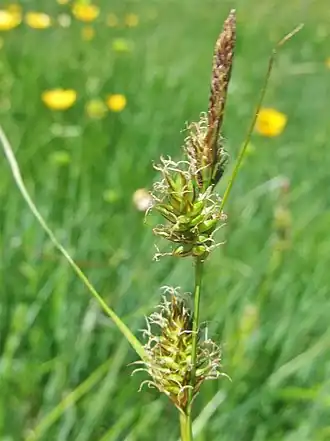 alternativní popis obrázku chybí