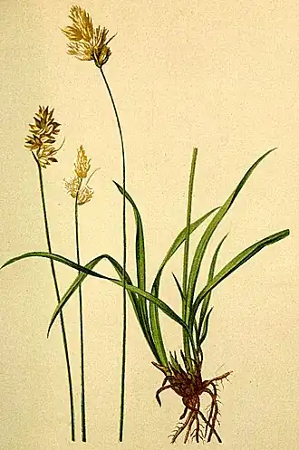 alternativní popis obrázku chybí