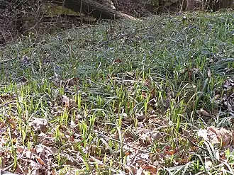 alternativní popis obrázku chybí