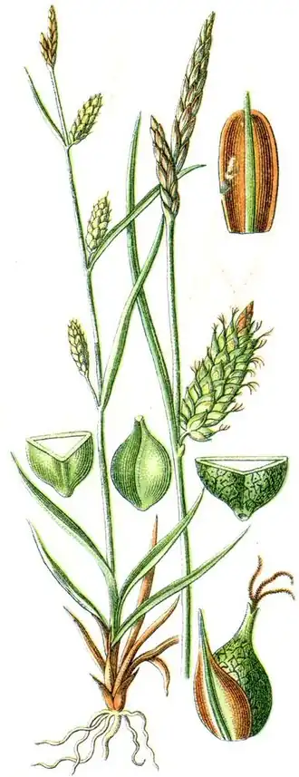 alternativní popis obrázku chybí